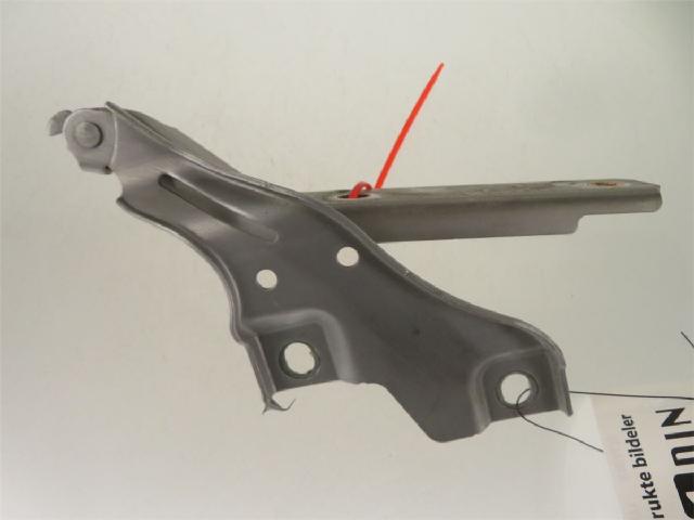 Panser Hengsel / Hengsler – bilde 2