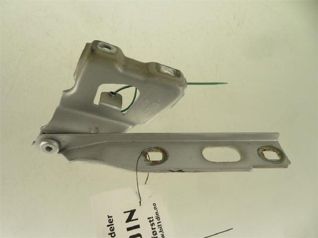 Panser Hengsel / Hengsler – bilde 1