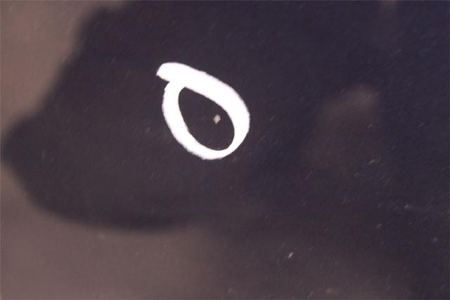 Panser – bilde 3