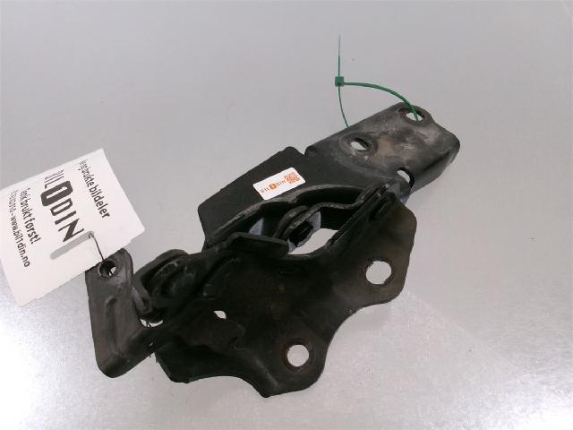 Panser Hengsel / Hengsler – bilde 1
