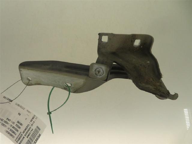 Panser Hengsel / Hengsler – bilde 2