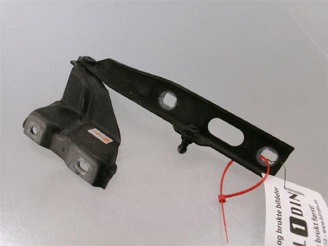 Panser Hengsel / Hengsler – bilde 1