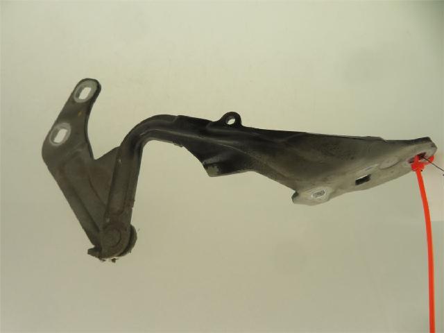 Panser Hengsel / Hengsler – bilde 1