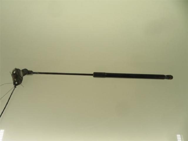 Bakluke Demper / Gassfjær – bilde 1